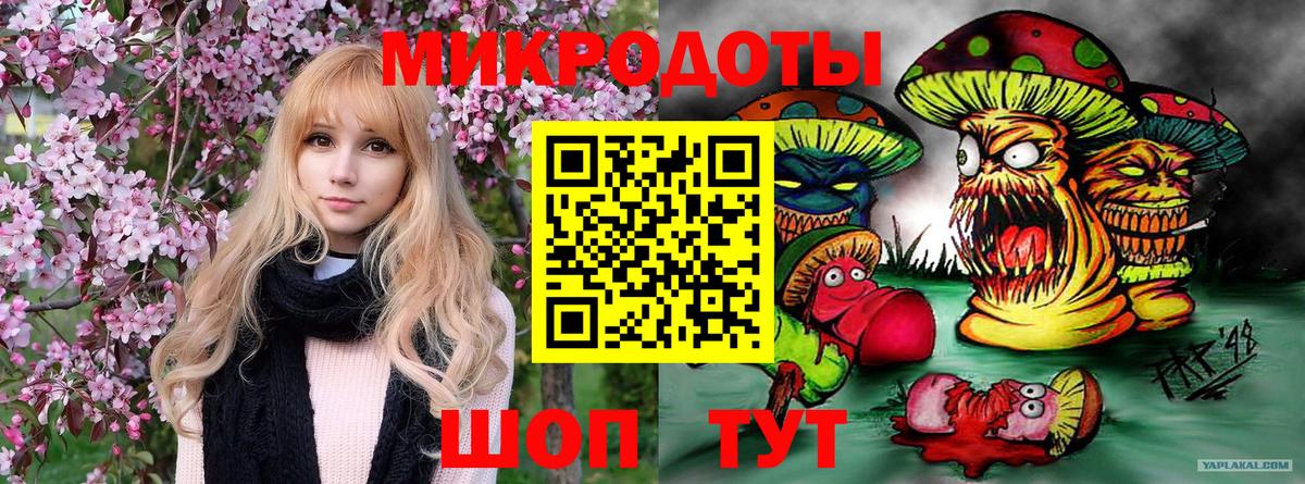 Галлюциногенные грибы Magic Shrooms  Вход с VPN  Псилоцибиновые грибы мицелий  Лыткарино 